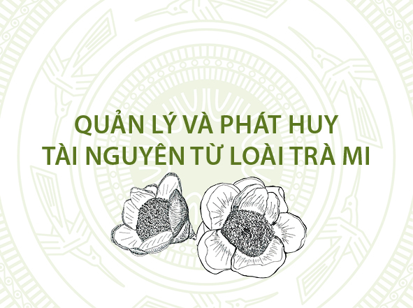 tỷ lẹ cá cược